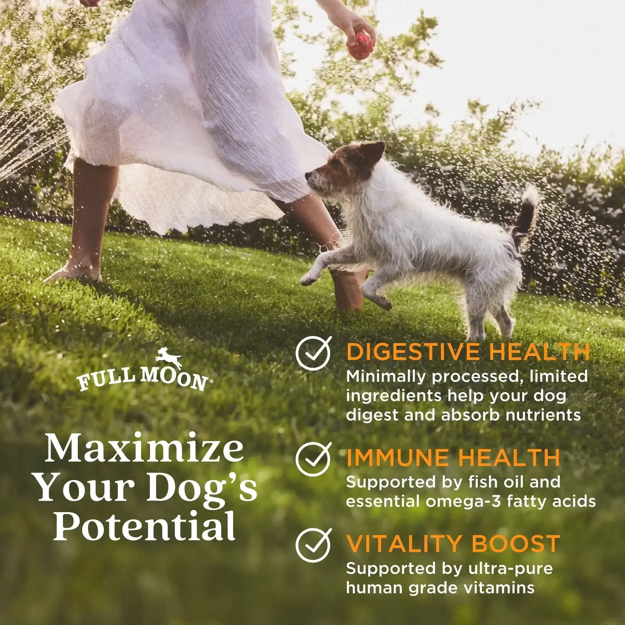 Full Moon Air Dried Beef Dog Food (Premium Feed, 16 Ounces) - Image 8