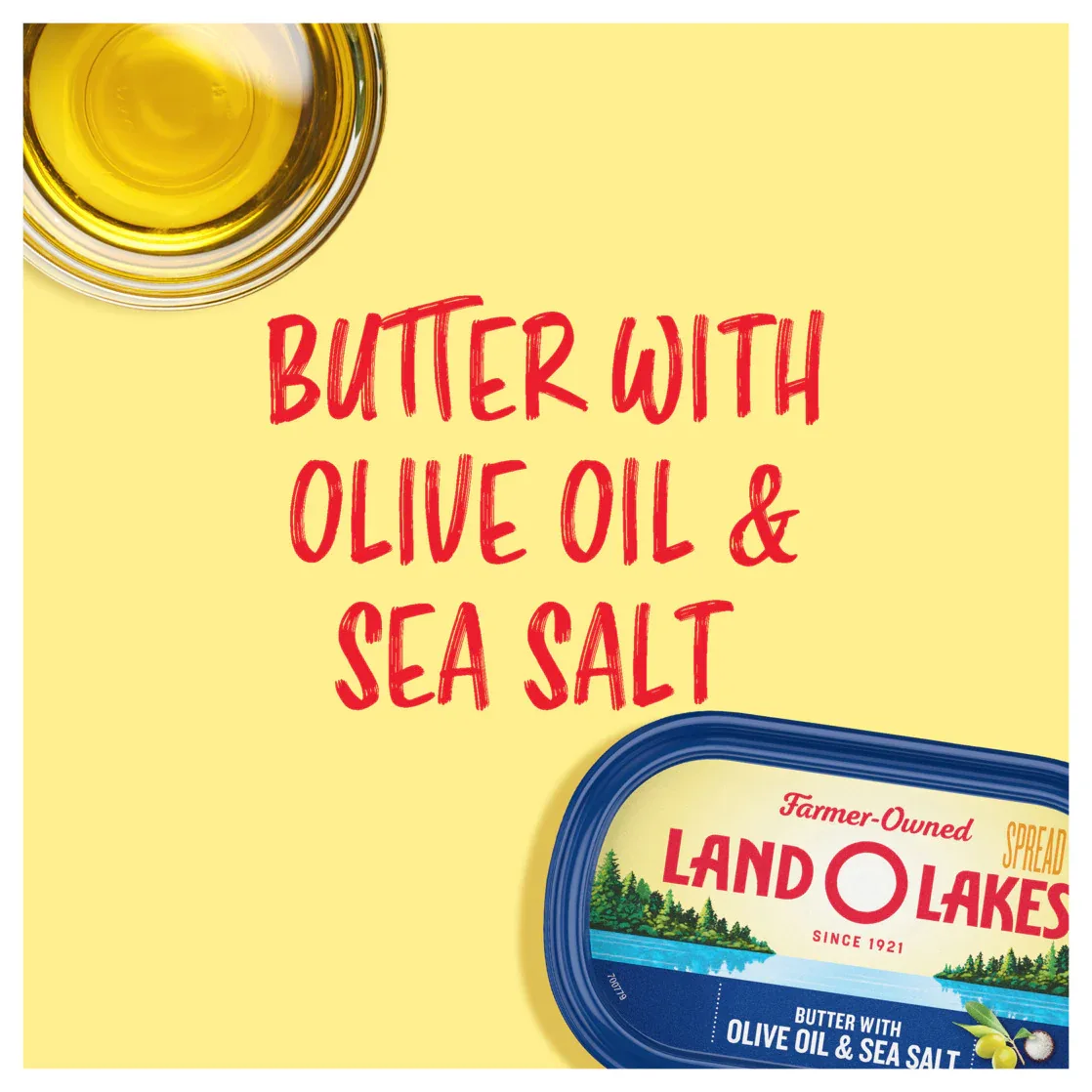 Land O Lakes Butter with Olive Oil & Sea Salt, Spreadable, 13 oz Tub - Image 3