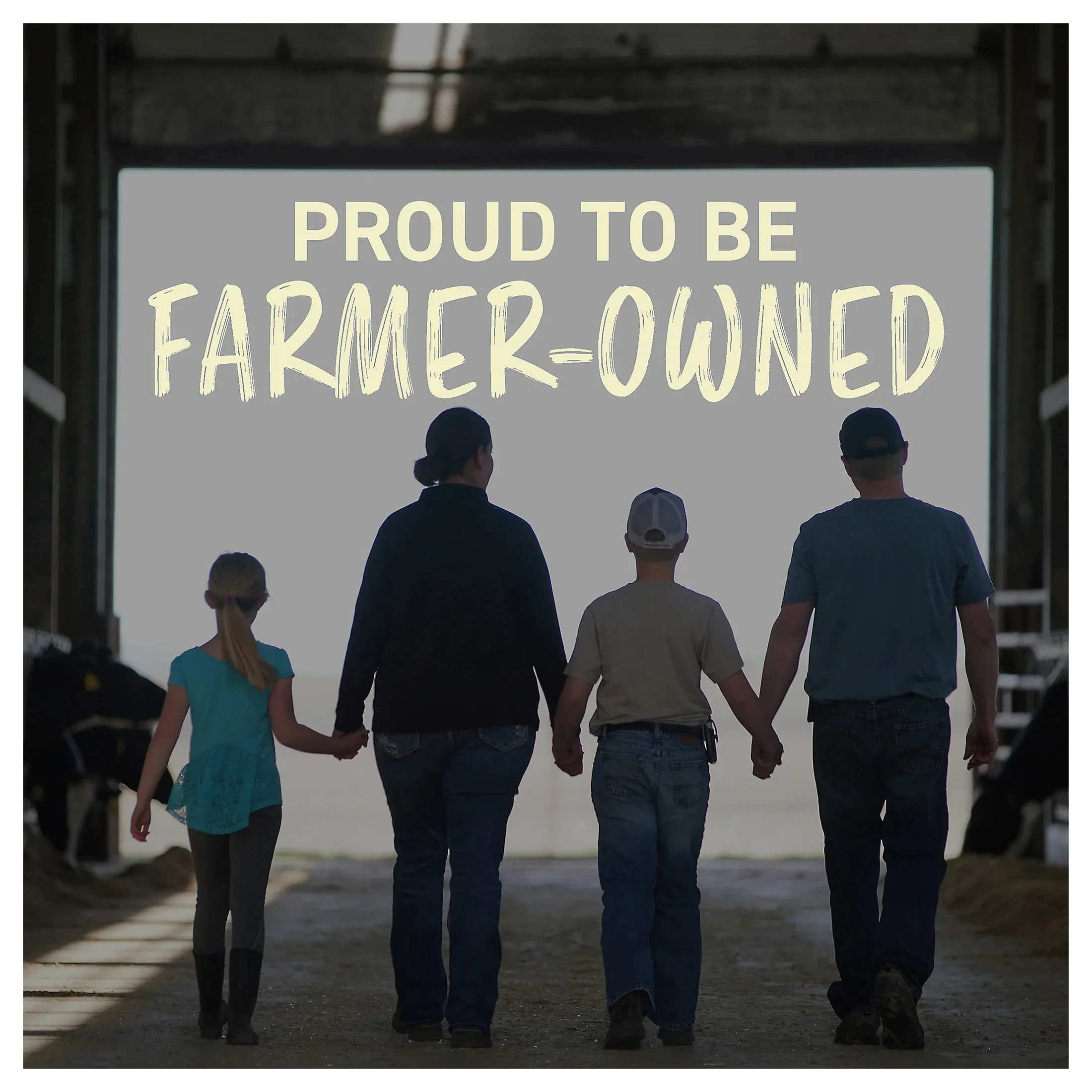 Land O Lakes Salted Butter in Half Sticks, 8 Half Sticks, 1 lb Pack - Image 7