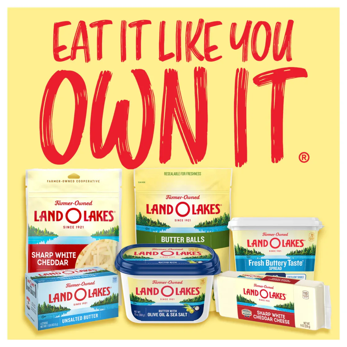 Land O Lakes Salted Whipped Butter, Spreadable, 8 oz Tub - Image 10