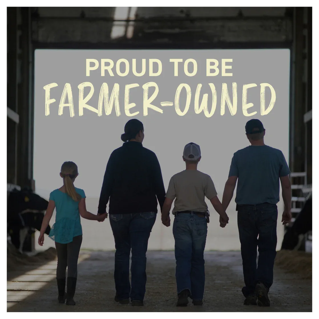 Land O Lakes Salted Whipped Butter, Spreadable, 8 oz Tub - Image 9