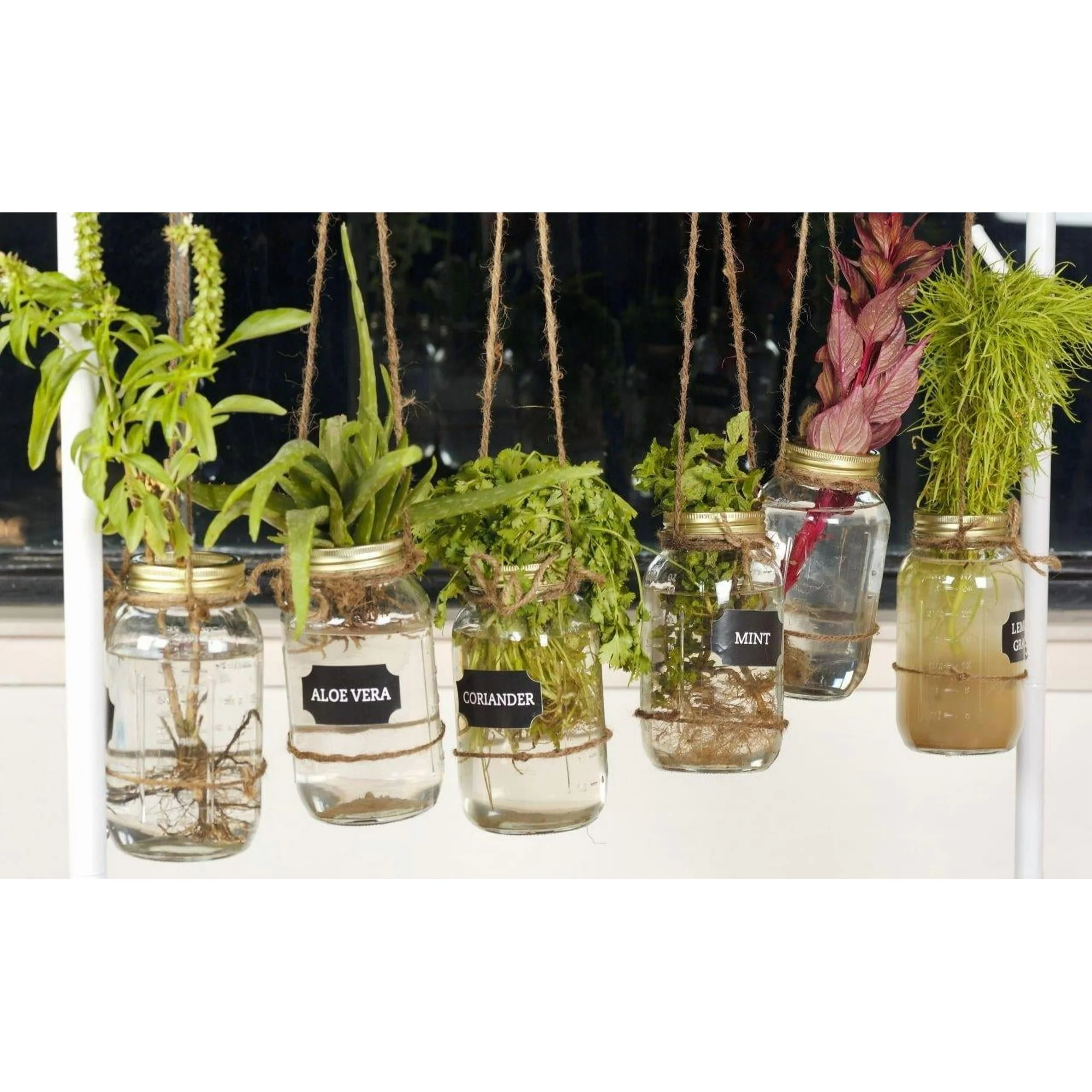 Mainstays Mason Jars, Regular Mouth Half Pint Canning Jars with Lids and Rings, 12-Pack Small Glass Jars for Home Canning and Preserving - Image 24