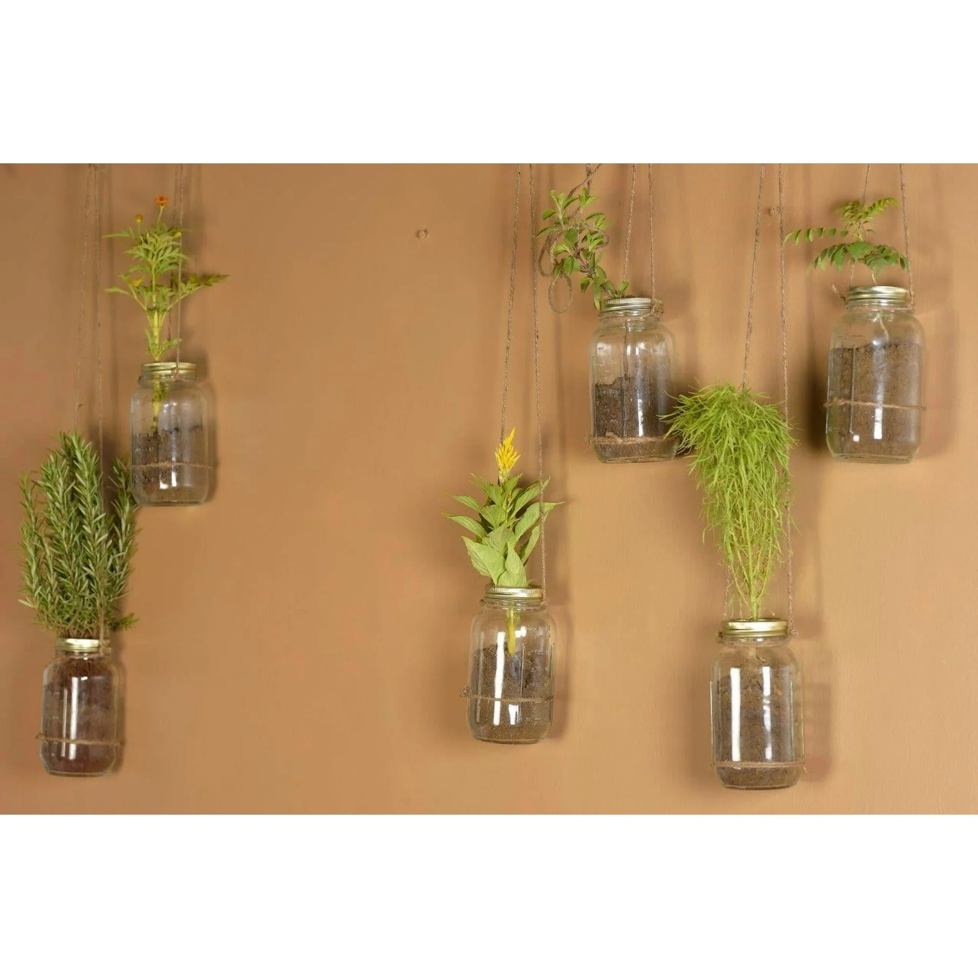 Mainstays Mason Jars, Regular Mouth Half Pint Canning Jars with Lids and Rings, 12-Pack Small Glass Jars for Home Canning and Preserving - Image 25