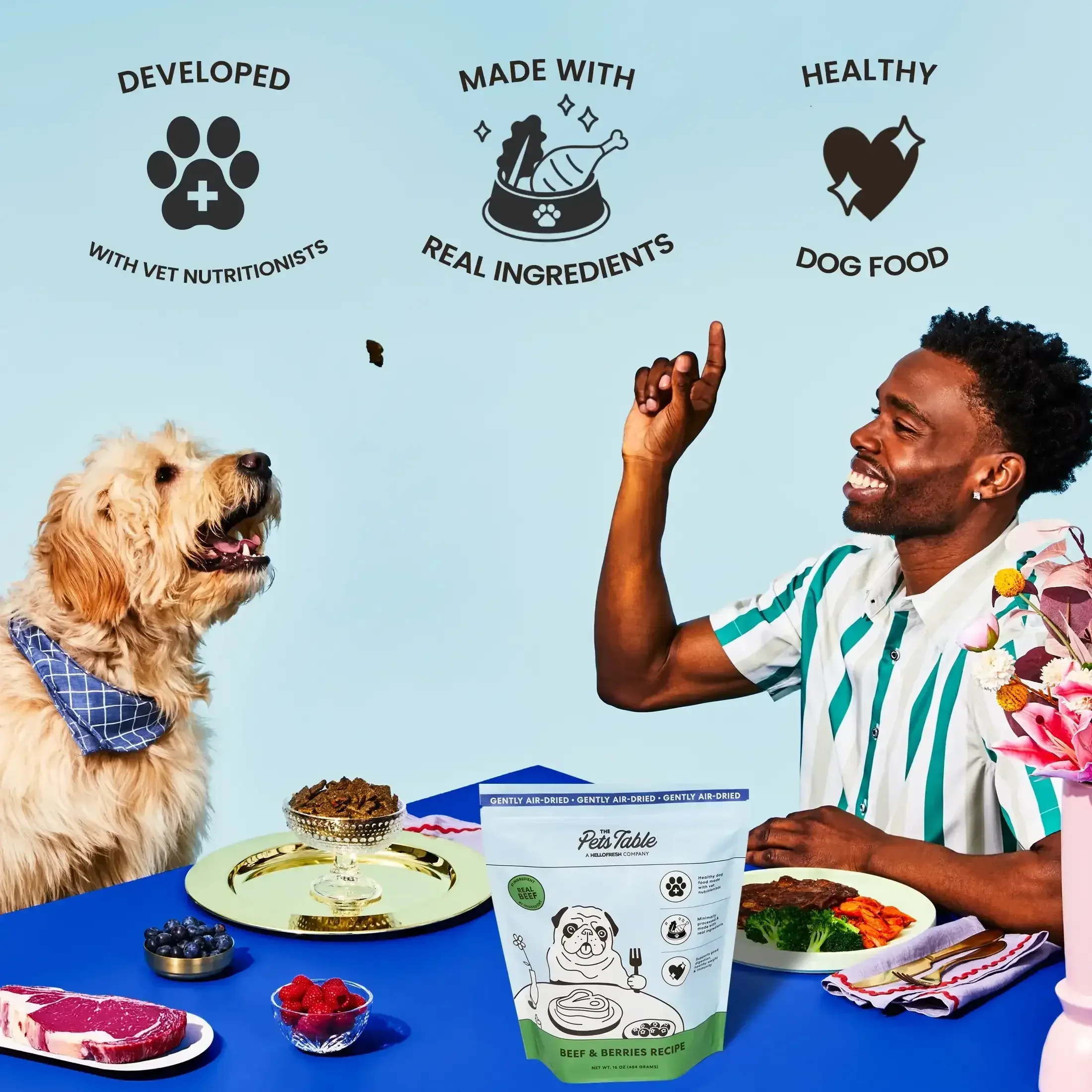 The Pets Table Beef & Berries Air-Dried Dog Food - Image 3